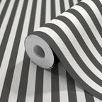 CLASSIC STRIPE - Black & White
