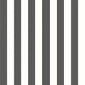 CLASSIC STRIPE - Black & White