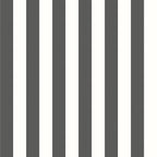 CLASSIC STRIPE - Black & White
