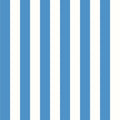 CLASSIC STRIPE - Blue & White