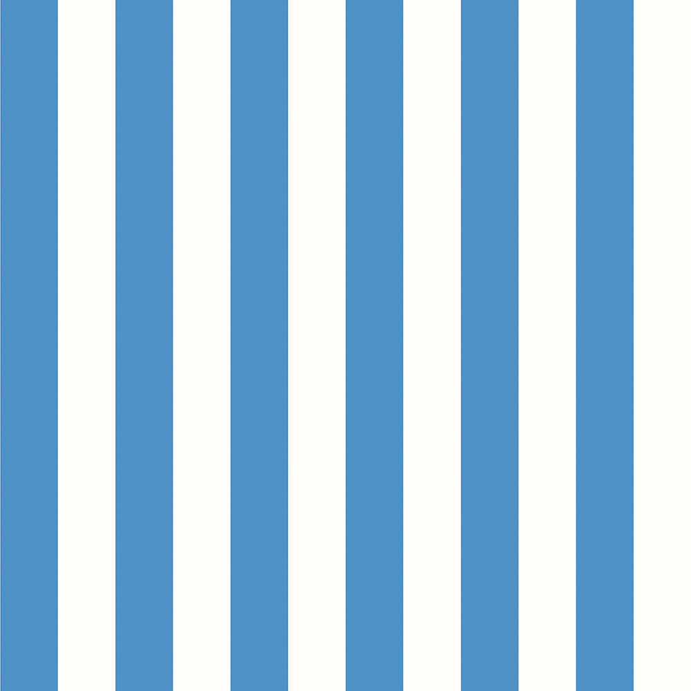 CLASSIC STRIPE - Blue & White